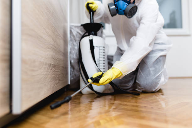 Best Pest Control for Homes  in Burwell, NE