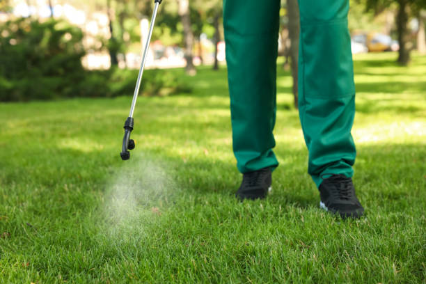  Burwell, NE Pest Control Pros