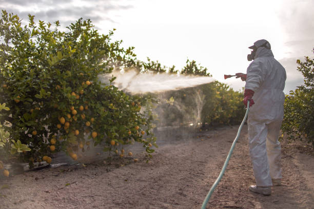 Best Flea Control Services  in Burwell, NE