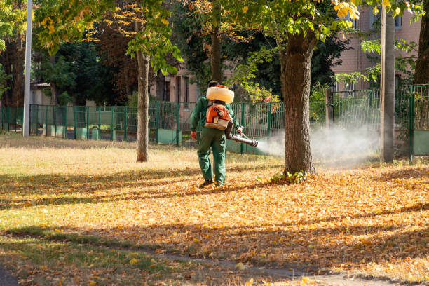 Best Best Pest Control Companies  in Burwell, NE