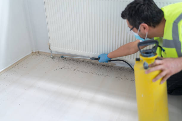 Best Pest Inspection Near Me  in Burwell, NE