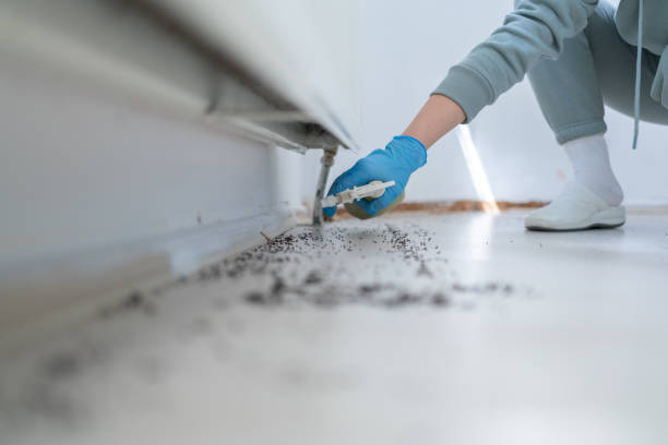 Best Residential Pest Control  in Burwell, NE