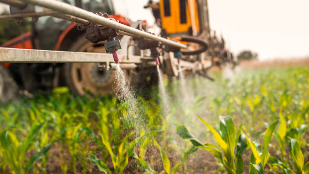Best Affordable Exterminators  in Burwell, NE